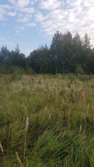 Участок 16 сот. (ИЖС)