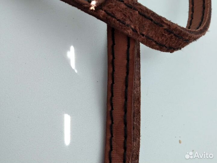 Ошейник для собак, шлейка