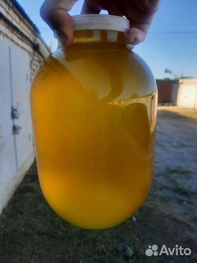 Натуральный мёд: Гречишный. Липовый. Донник