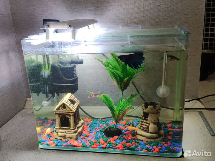Аквариум