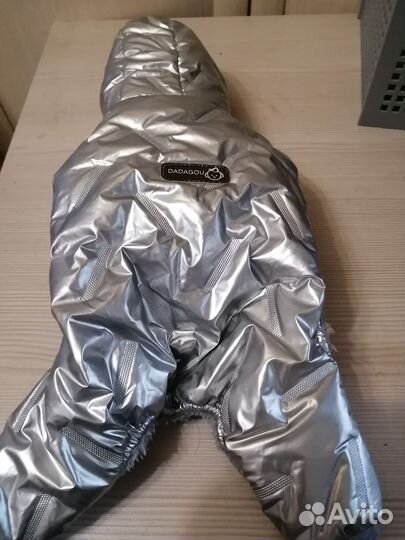 Вещи для собак мелких пород