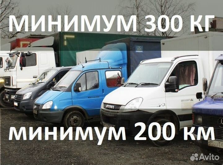 Грузоперевозки газель, пятитонник, фура. Межгород