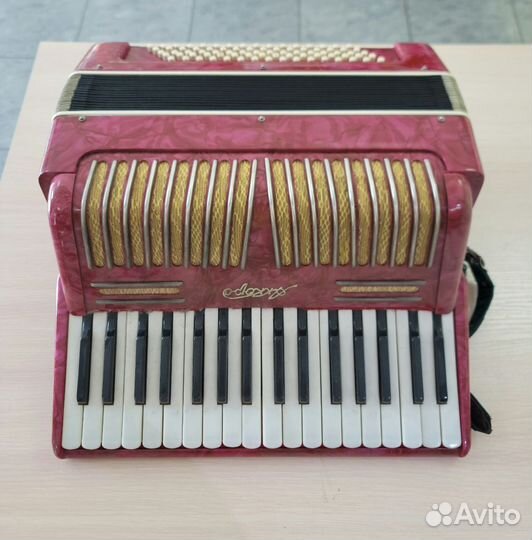 Аккордеон 