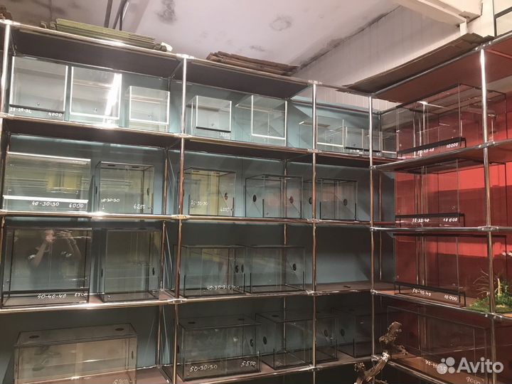 Террариумы для рептилий и пауков