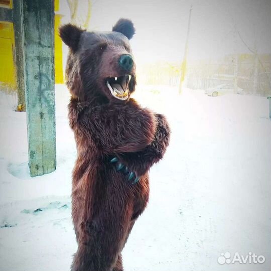 Костюм медведя