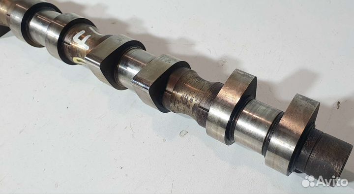 Распредвал Daewoo Nexia, Chevrolet Lacetti, Cruze