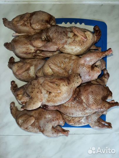 Перепелиное яйцо