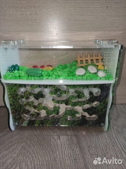 Муравьиная ферма