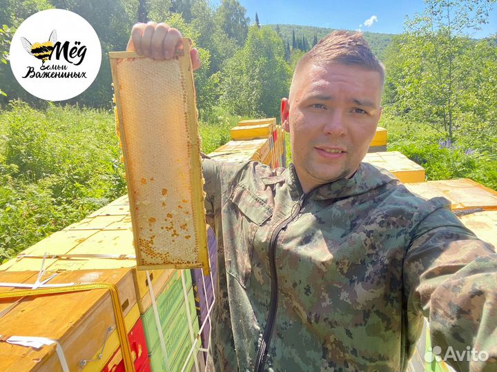 Мед свежий натуральный. Собственное производство