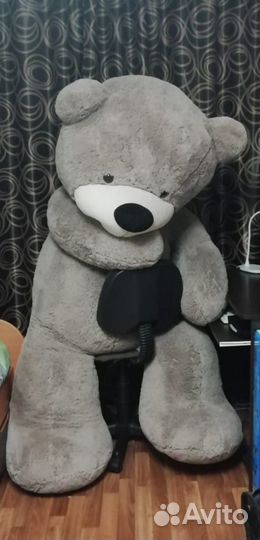 Большие плюшевые медведи
