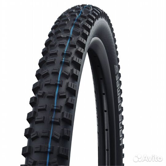 Schwalbe hans dampf 27.5