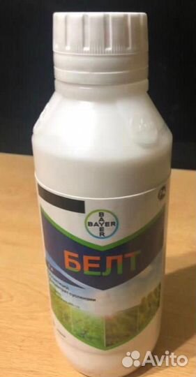 Белт