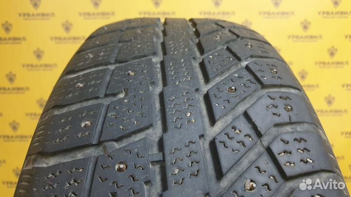 Brasa IceControl 225/60 R17 99T