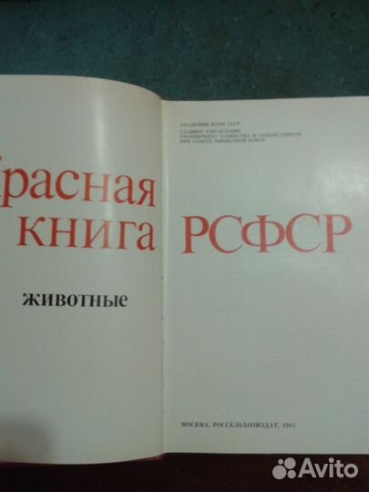 Красная книга рсфср. Животные