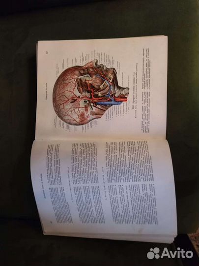 Атлас анатомии человека. Том 2