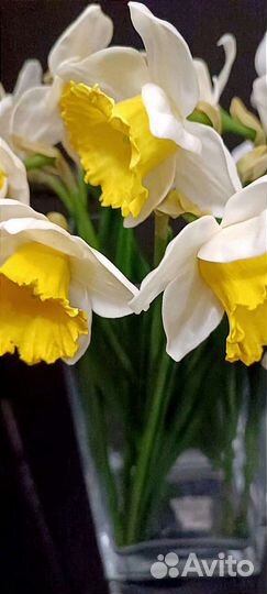 Цветы из холодного фарфора