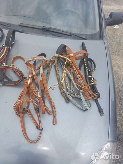 Уздечка для лошади