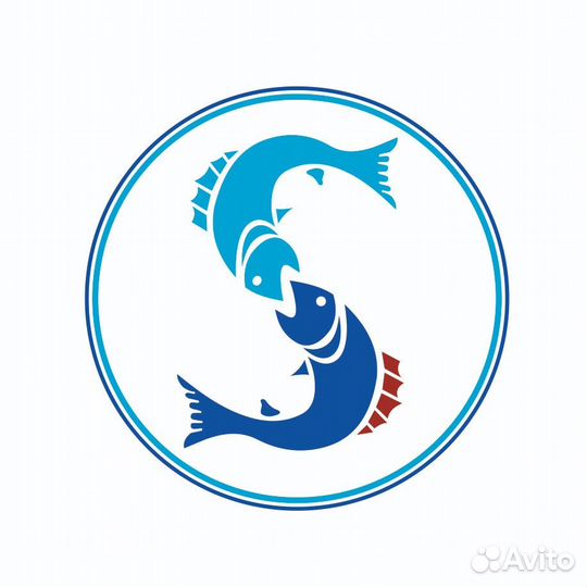 Контрольный механик