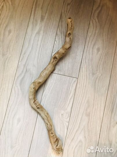 Дрифтвуд, коряга