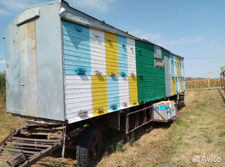 Пасека пчелопавильон