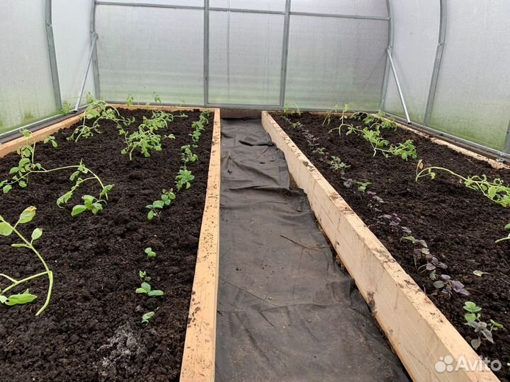 Микс Чернозем Плодородный грунт Удобрение Песок