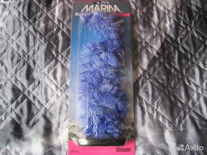 Водоросли в аквариум