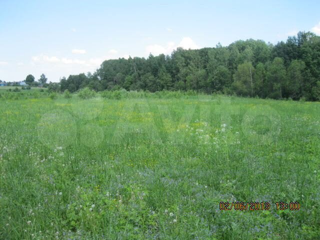 Участок 10,31 га (СНТ, ДНП)