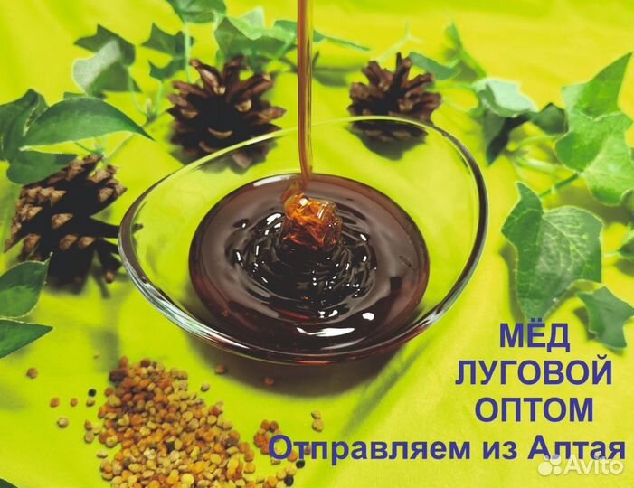 Алтайский мед 2023 года (оптом)