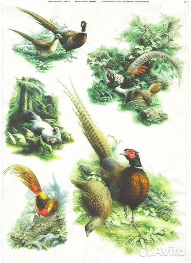 Декупажная карта