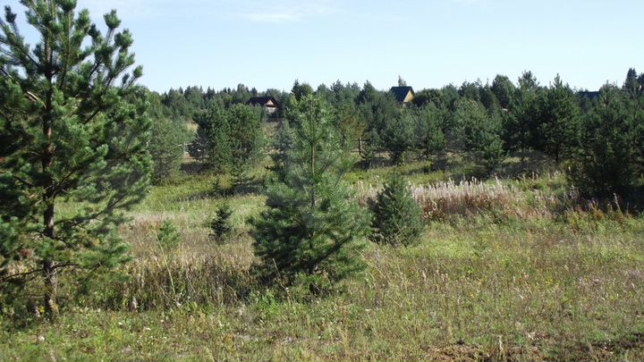 Участок 50 сот. (ИЖС)