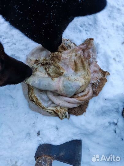 Для собак рубец печень обрезь кости рыба не вын.у