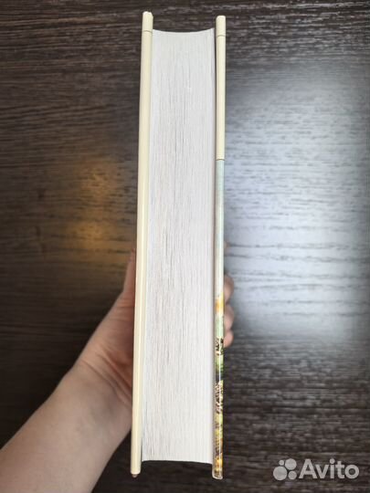 Книга Незнакомка из Уайлдфелл-Холла. Агнес Грей