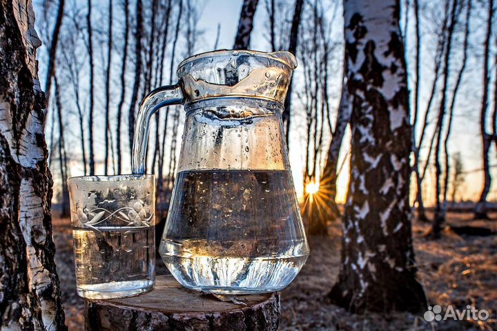 Отдам бесплатно