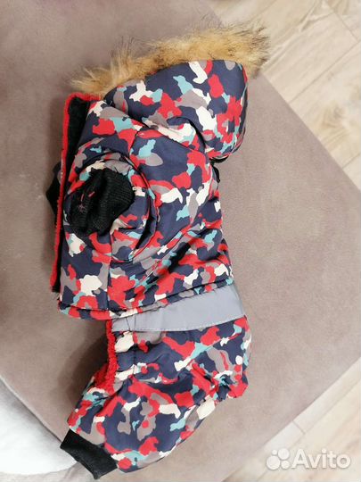 Комбинезон для маленькой собаки s