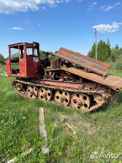 Трактор трелевочный тдт-55А
