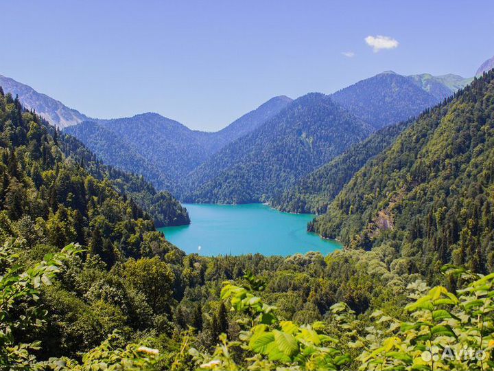 Экскурсия — Гагра — Новый Афон иРица: поездка изГа