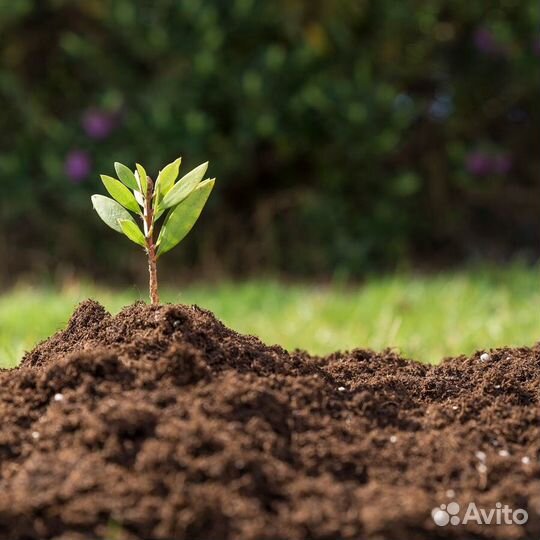 Земля полевая-верховая. Торфо-песочная