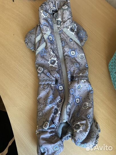 Одежда для маленьких собак зима