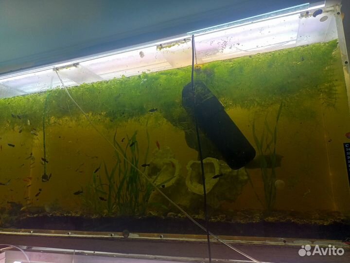 Аквариум из оргстекла 300литров