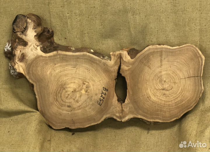 Спил карагача