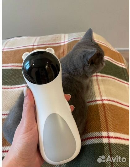 Лазерный указатель для кошки