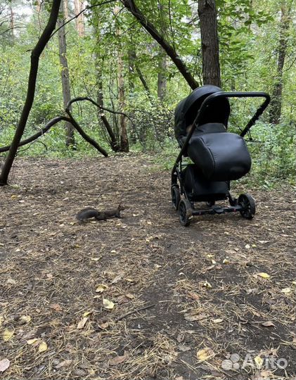 Коляска anex cross 3 в 1