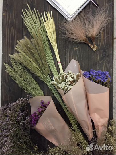 Сухоцветы для творчества