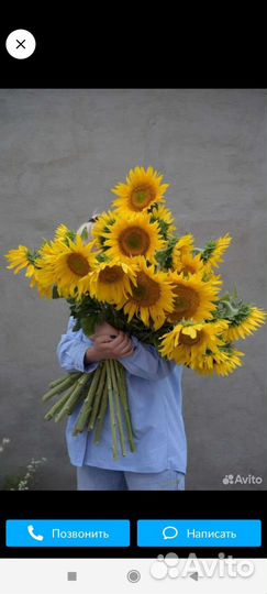 Букет из подсолнухов