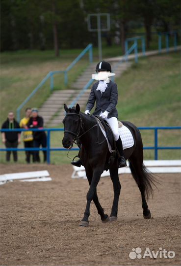 Шлем для верховой езды детский 57р