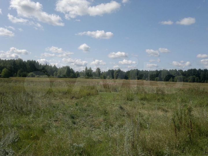 Участок 12,5 га (СНТ, ДНП)