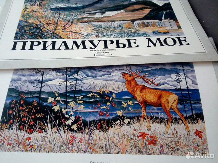 Приамурье мое-1982г