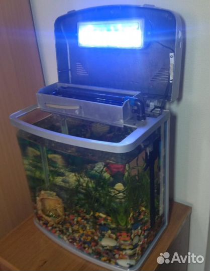 Аквариумы (16л и 27л) с рыбками и оборудованием