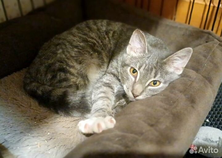 Море нежности