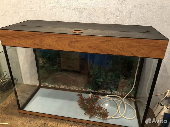Аквариум